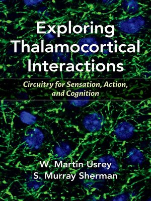 cover image of Exploring Thalamocortical Interactions